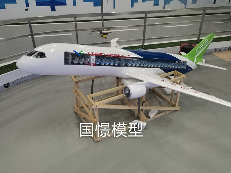 贵港飞机模型